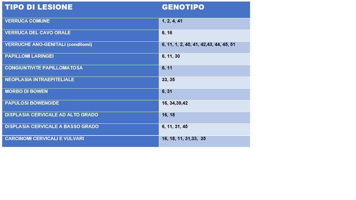 genotipi HPV